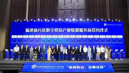 對接DEPA關系協定，推動數字經濟開放發展——“數貿聯動，互惠全球”跨境數字貿易全球伙伴會議在臨港成功舉辦