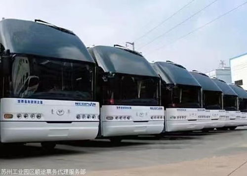 德州至肇慶汽車大巴 高速直達·實時全境·票務代理服務全解析